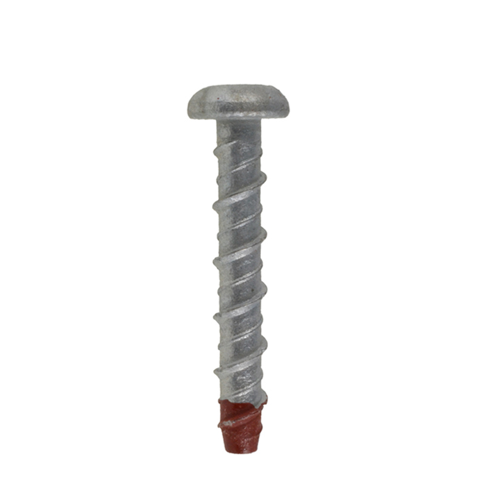 Dome Torx Screw Anchors