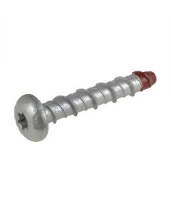 M6 x 65mm Galvanised Dome Torx (T30) Xbolt Screwbolt Anchors