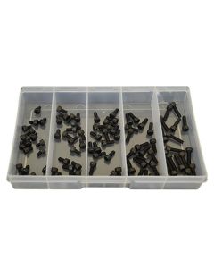 100 Piece M4 Socket Cap Screw High Tensile Plain Black Uncoated Assortment Grab Kit107